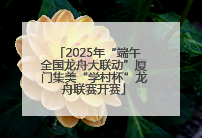 2025年“端午全国龙舟大联动”厦门集美“学村杯”龙舟联赛开赛