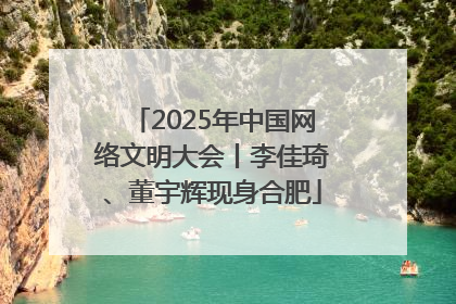 2025年中国网络文明大会丨李佳琦、董宇辉现身合肥