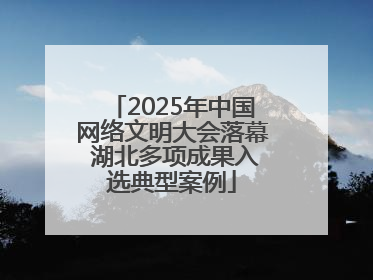 2025年中国网络文明大会落幕 湖北多项成果入选典型案例