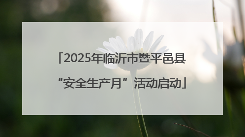 2025年临沂市暨平邑县“安全生产月”活动启动