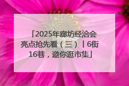 2025年廊坊经洽会亮点抢先看（三）丨6街16巷，邀你逛市集