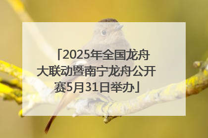 2025年全国龙舟大联动暨南宁龙舟公开赛5月31日举办