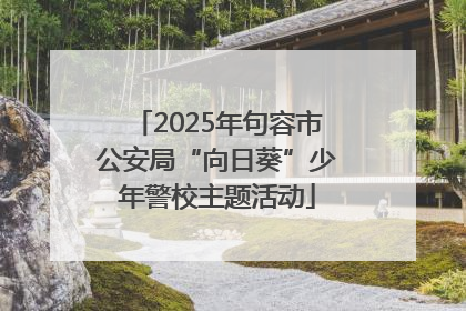 2025年句容市公安局“向日葵”少年警校主题活动
