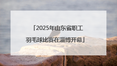 2025年山东省职工羽毛球比赛在淄博开幕