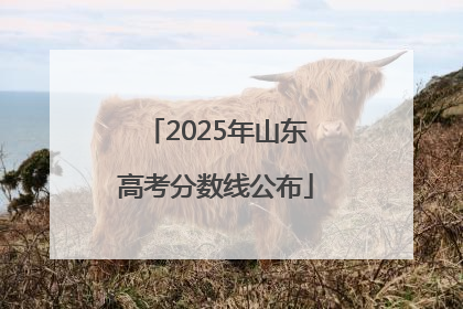 2025年山东高考分数线公布