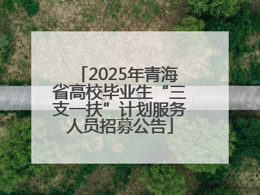 2025年青海省高校毕业生“三支一扶”计划服务人员招募公告