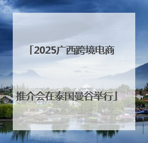 2025广西跨境电商推介会在泰国曼谷举行