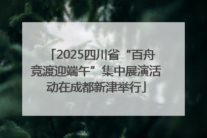2025四川省“百舟竞渡迎端午”集中展演活动在成都新津举行