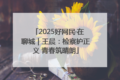 2025好网民·在聊城｜王晨：检察护正义 青春筑晴朗