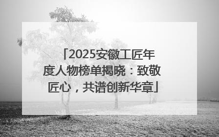 2025安徽工匠年度人物榜单揭晓：致敬匠心，共谱创新华章