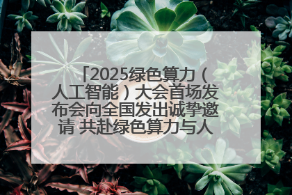 2025绿色算力（人工智能）大会首场发布会向全国发出诚挚邀请 共赴绿色算力与人工智能融合之约