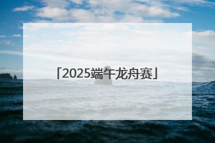 2025端午龙舟赛