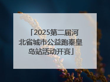 2025第二届河北省城市公益跑秦皇岛站活动开赛