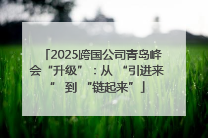 2025跨国公司青岛峰会“升级”：从 “引进来” 到 “链起来”