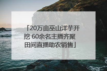 20万亩巫山洋芋开挖 60余名主播齐聚田间直播助农销售