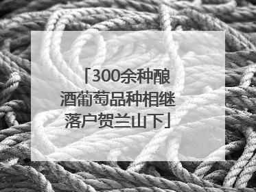 300余种酿酒葡萄品种相继落户贺兰山下