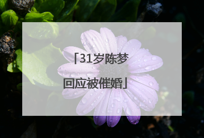 31岁陈梦回应被催婚
