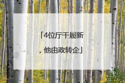 4位厅干履新，他由政转企