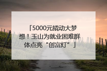 5000元撬动大梦想！玉山为就业困难群体点亮“创富灯”
