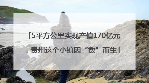 5平方公里实现产值170亿元，贵州这个小镇因“数”而生