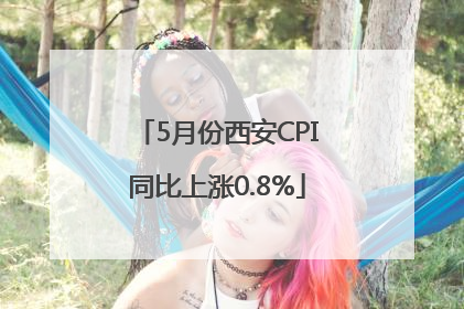 5月份西安CPI同比上涨0.8%