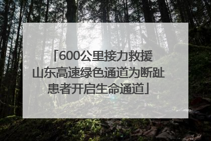 600公里接力救援 山东高速绿色通道为断趾患者开启生命通道