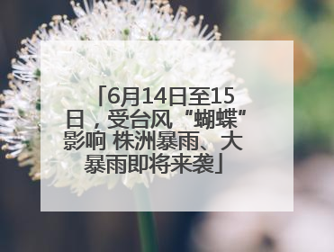 6月14日至15日，受台风“蝴蝶”影响 株洲暴雨、大暴雨即将来袭