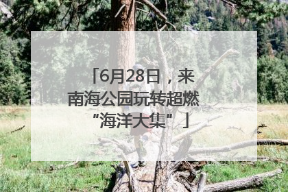 6月28日，来南海公园玩转超燃 “海洋大集”