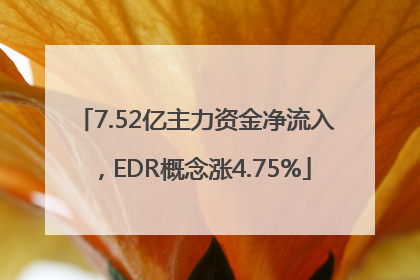 7.52亿主力资金净流入，EDR概念涨4.75%