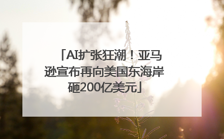 AI扩张狂潮！亚马逊宣布再向美国东海岸砸200亿美元