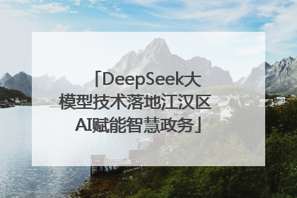 DeepSeek大模型技术落地江汉区 AI赋能智慧政务